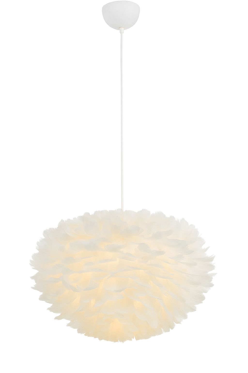 Feather Pendant Light